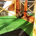Lavanda Apartman *
